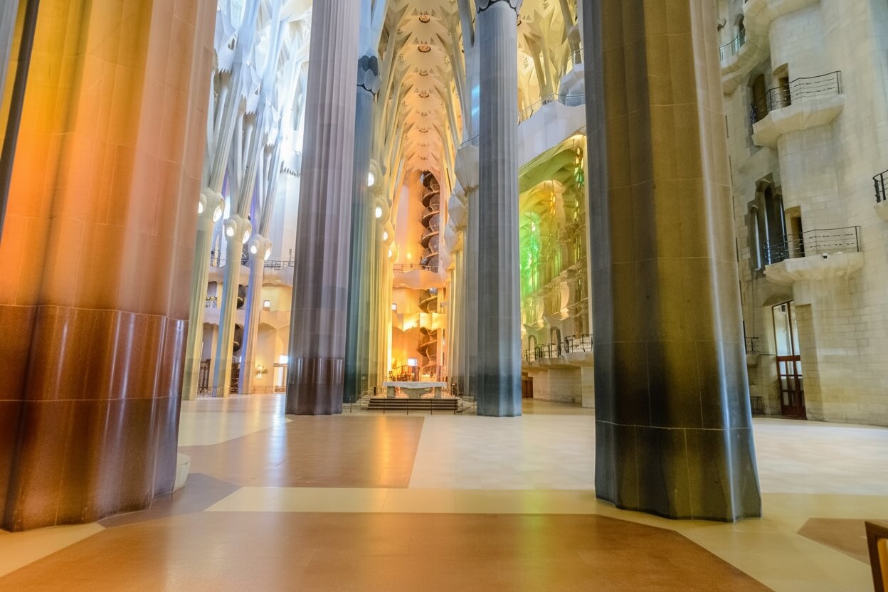 Colonnes en forme d'arbres de la nef